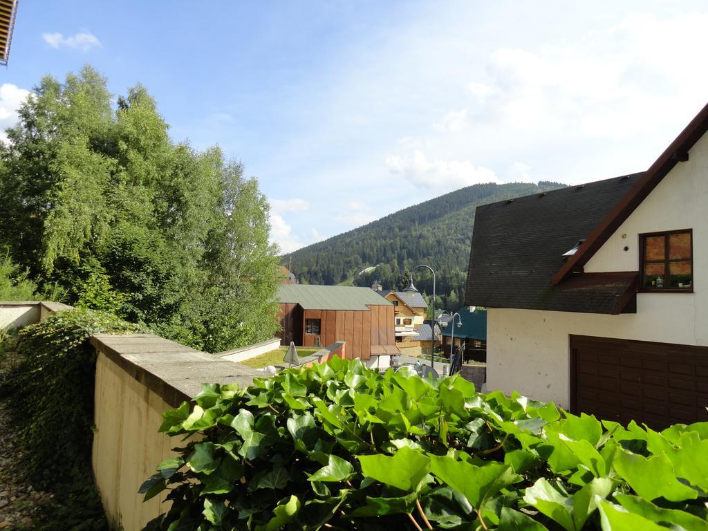 Ski-bike Certovka Apartment Harrachov