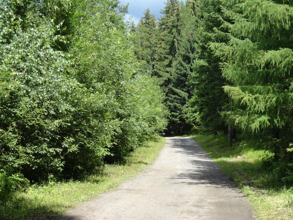 Ski-bike Certovka